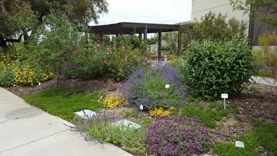 San Joaquin Master Gardeners