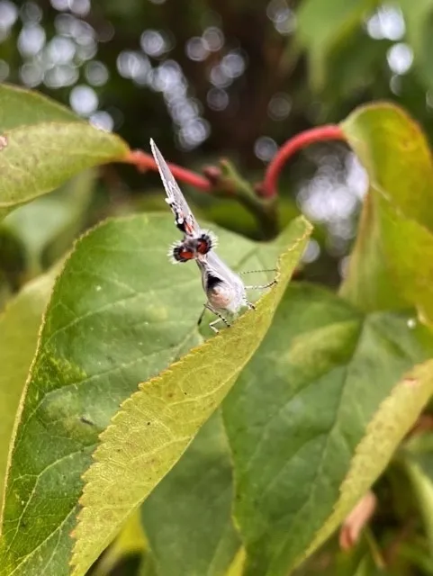 Here's lookin' at you...?