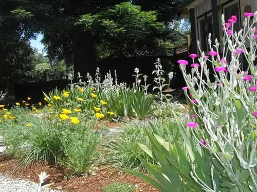Diversity in plants creates interest and health, Laura Lukes