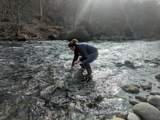 After the Camp Fire, Tracy Schohr sampled stream water in Butte County to test for livestock owners who worried whether it was safe for animals to drink.