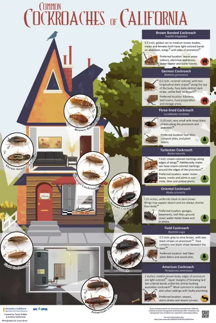 infographic final small jpg.