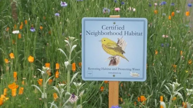 Be part of a wildlife corridor between islands of natural habitat. Photo: Courtesy of UC Regents