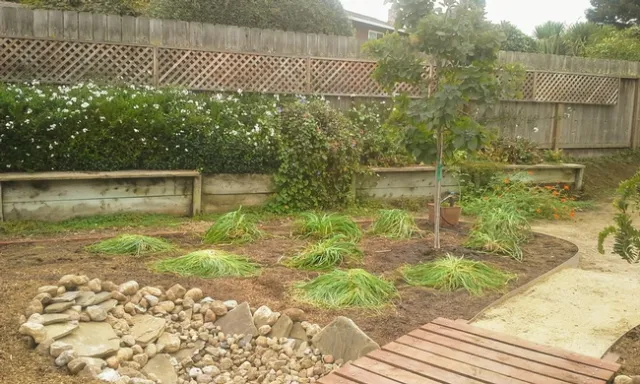 Kniphofia added w hose bib treatment in background