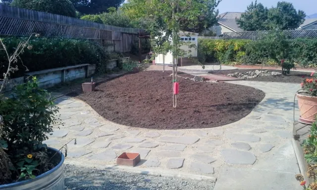 Stones in DG, amended soil & new potting shed in background