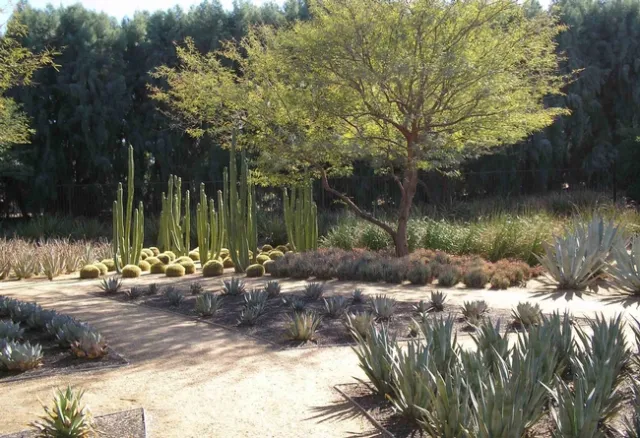 Paths demarcate planting areas at Sunnylands Gardens in Palm Springs, Laura Lukes
