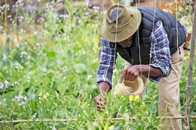 Always wash your hands before and after harvesting, and wash you produce in running water to mitigate a potential risk. Photo: Evett Kilmartin