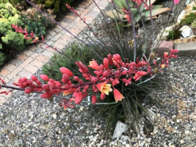 Photo by Jacqueline Shubitowski