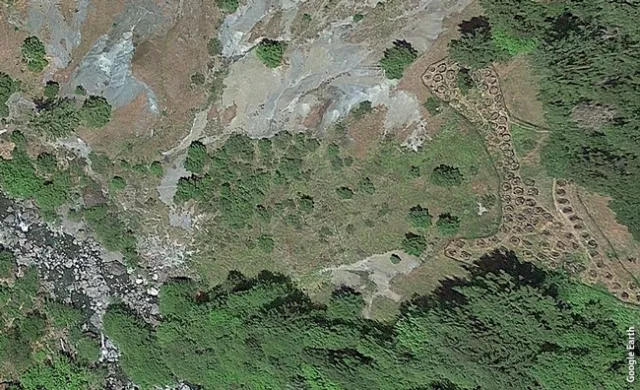 Cannabis grows near a salmon stream in Humboldt County. Environmental impacts of cannabis are among the research funded to inform cannabis policy in California.