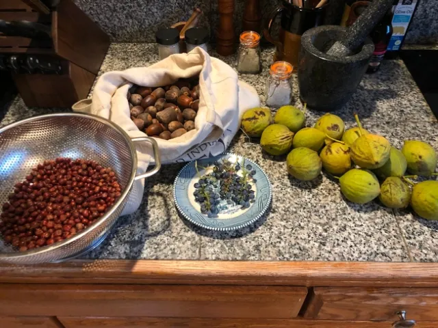 De izquierda a derecha- las bayas comunes de manzanita, bellotas de roble negro, uvas silvestres de California, sal y nueces negras.
