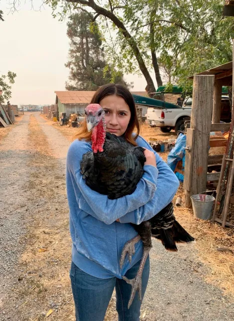 Yaxeli Saiz-Tapia says raising turkeys has raised her appreciation for where her food comes from. Photo by Shauna Aubin Yaxeli Saiz-Tapia says raising turkeys has raised her appreciation for where her food comes from. Photo by Shauna Aubin.