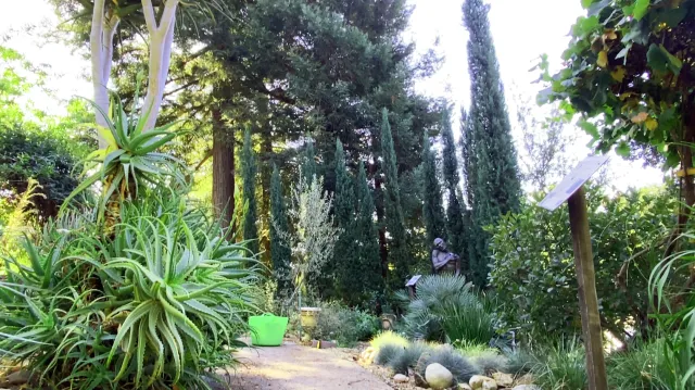 Mediterranean garden shot