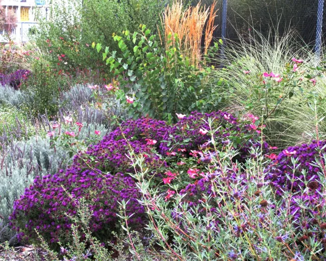 Sustainable Landscape. (Ellen Zagory)