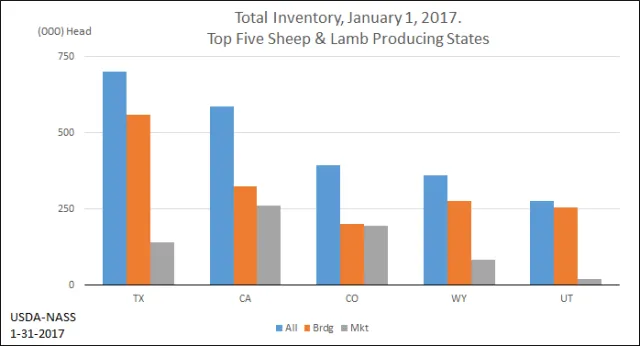California is the second largest sheep producing state.