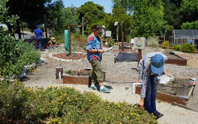 Designate permanent walking paths so garden beds are not compacted by foot traffic.