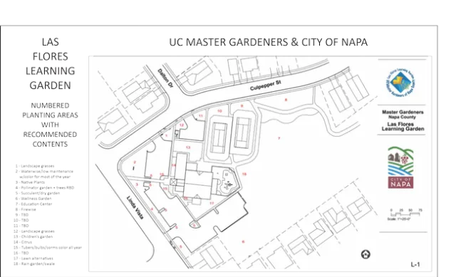 Las Flores whole thing