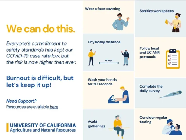 Stay the course message