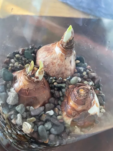 Photo by Alissa Bright