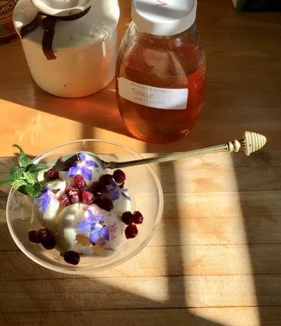 Dessert with Pomegranates
