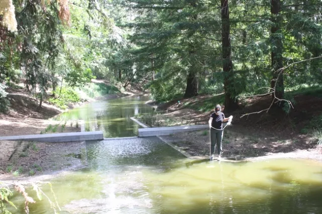 River Turbidity Sample