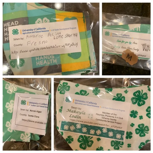 4-H members who sewed more than 40 COVID-19 masks as samples of the masks they have given out in their communities.