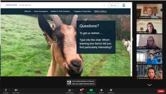 Participants were encouraged to write questions in the Chat. Presenters answered questions and provided links with information.