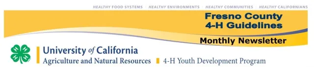 Cover page as website button.2021.pub