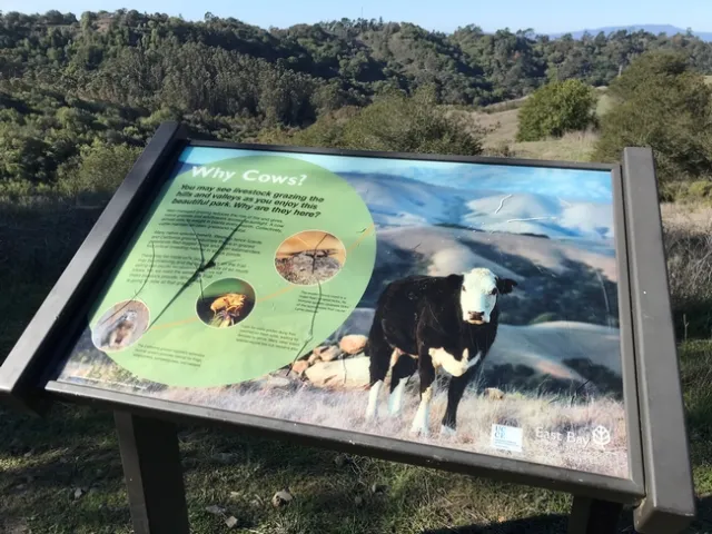 Mark Bell takes a hike and comes across some of Sheila's work