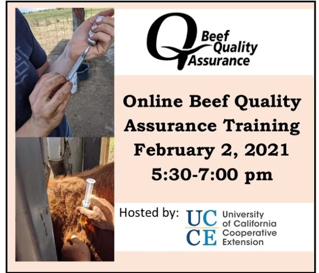 BQA Online annoucement