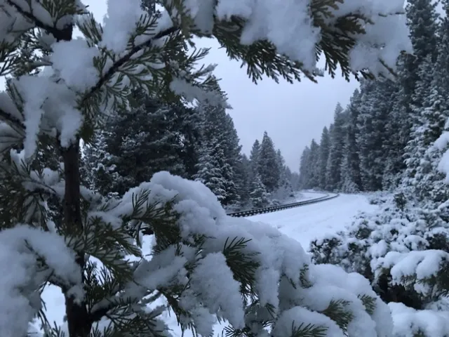 A cool weekend for Mark