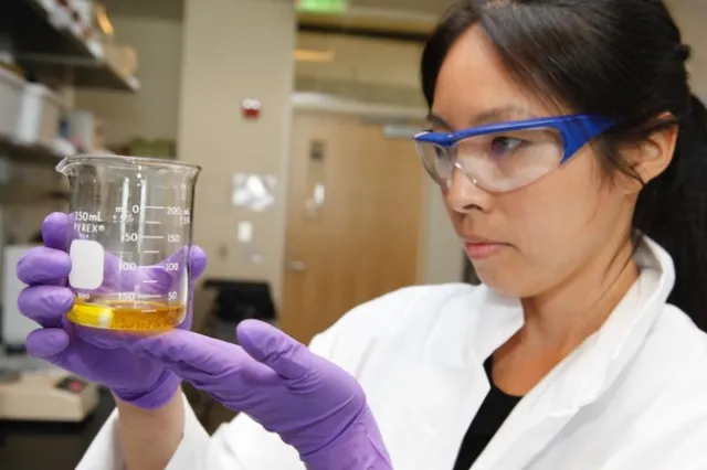 Selina Wang evaluates oil quality.