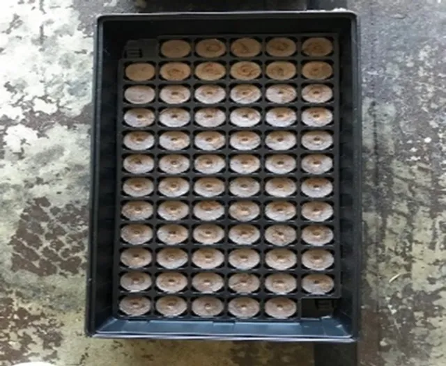 photos by Elvie DeLeon