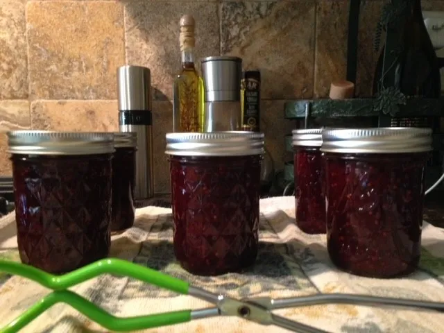 Finished plum sauce cooling on a towel