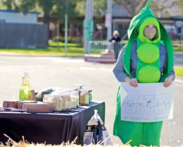 A Young Farmers and Ranchers member dressed as a forage crop explained differences in animal feeds.