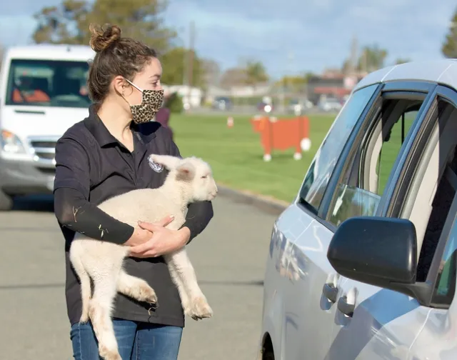 Regina Pozzi of Sonoma-Marin Young Farmers and Ranchers described nutritional needs for lambs.