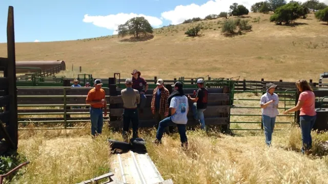 Some of the Schmidt family at pregnancy testing.