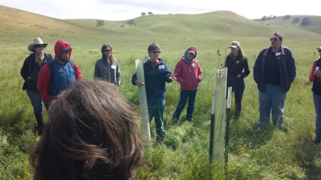 Kathy Spencer talking to workshop participants about the family's oak restoration project.