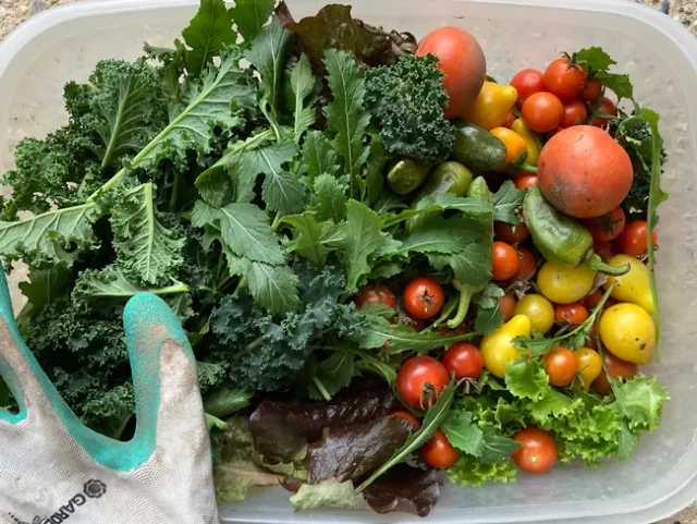 Gwen Conville has new respect for farmers after growing vegetables.