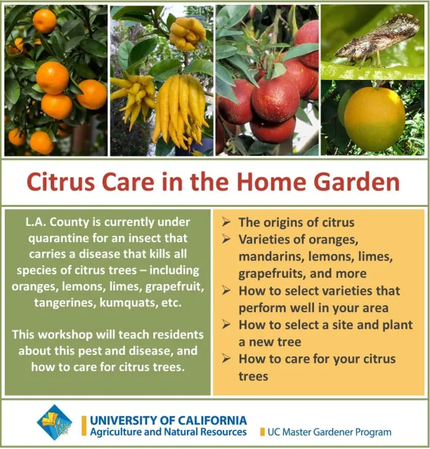 Citrus Care