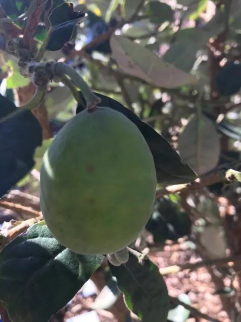 Photo by Andrea Peck