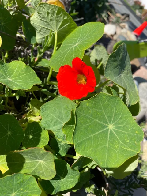 Photo by Alissa Bright