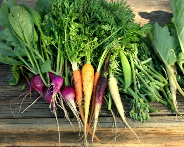 With a value of $6.1 billion, California accounted for over half of U.S. fresh vegetable production in 2018. Photo byShermain Hardesty,