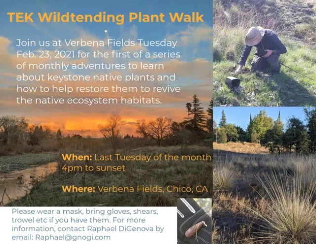 TEK Wildtending at Verbena Fields (campfirerestorationproject.org)