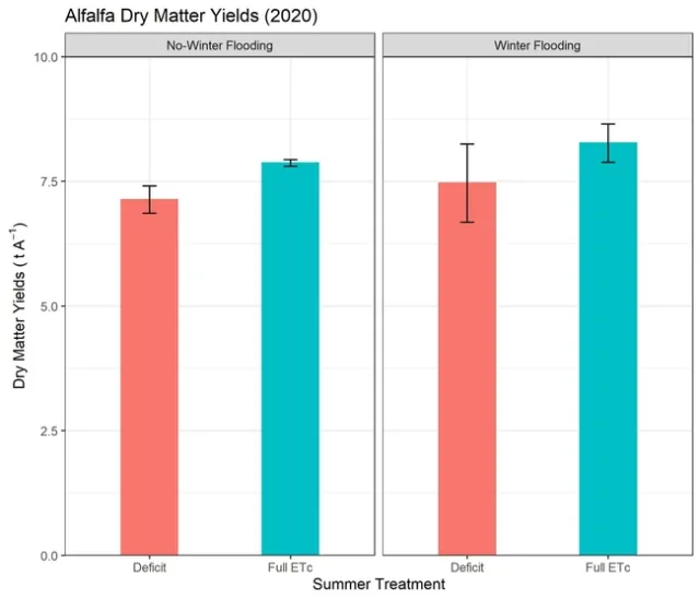 FIgure 7. Rewatering Effects on Yield - Parlier, CA 2020