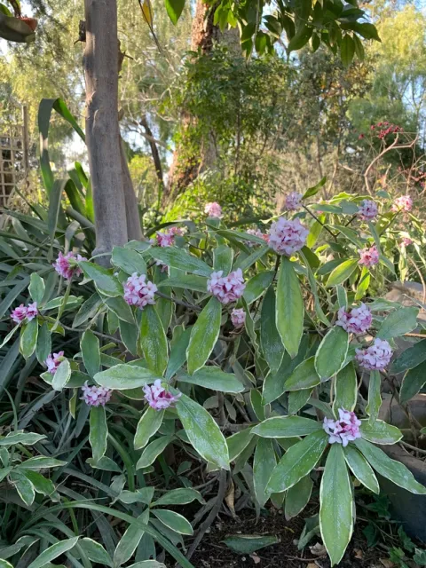 Photo by Diane Valentine