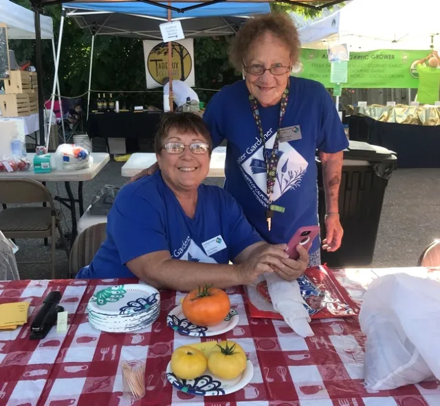 Two people sitting at an event table with tomatoes and plates for sampling.