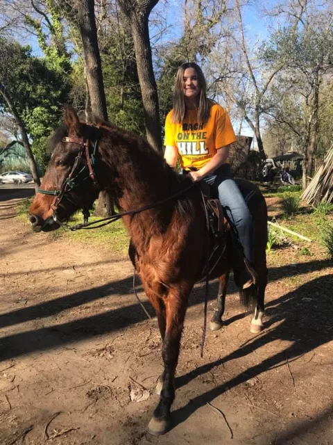 Mariehorse2