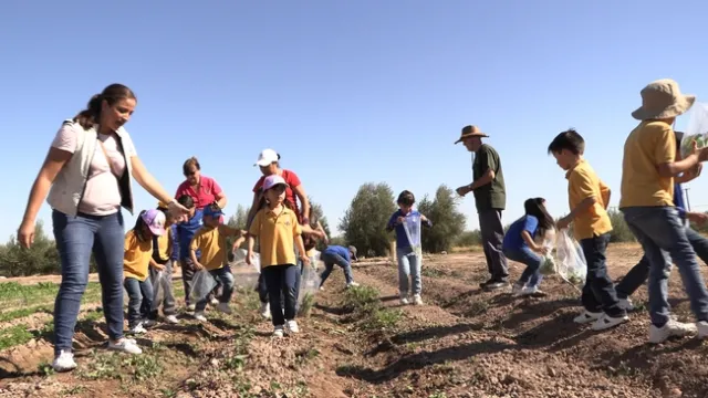 farm smart kid in fields
