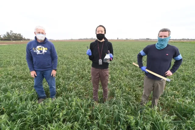 Leaders of the California project are, left to right, Jeff Mitchell, Faye Duan and Maurice Pitesky.