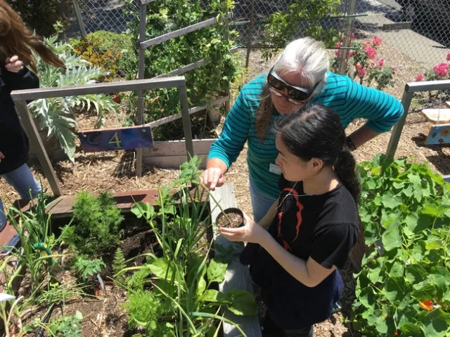 Master Gardeners Volunteers