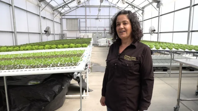 GreenHouse Clara Wilshire